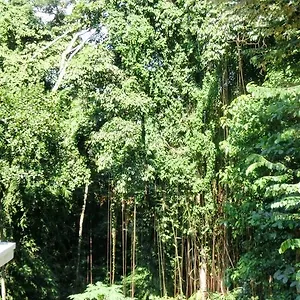 Guest house Latugu Ubud (Bali)