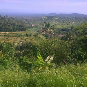 Alam Bukit