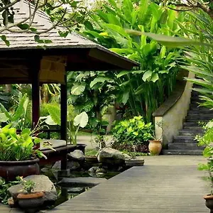Jalak Bali