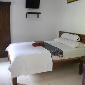 Homestay Gedul