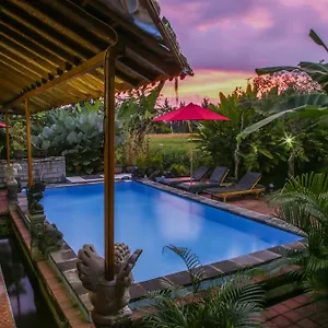 Guest house Soca House Ubud (Bali)
