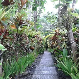 Hotel Pisces Balian 2*