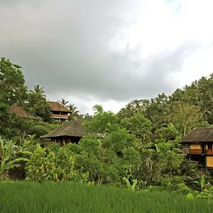 Resort Eco 4*