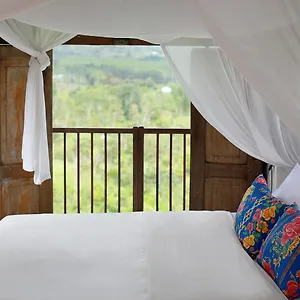 Couette-café Waterfall Treehouse Cabins 3*