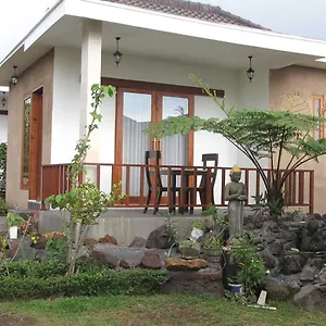 Guest house Terrasse Du 2*