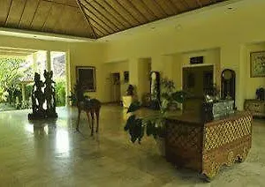 Sunari 3* Lovina (Bali)
