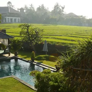 Hostel Ngeluwungan Boutique Canggu (Bali)