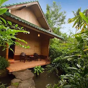 База отдыха The Aura Shanti Retreat