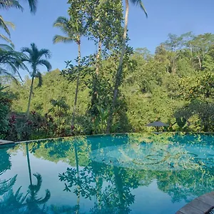 Anahata Villas&spa 4* Ubud