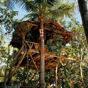 Holiday park Nyuh Bengkok Tree House