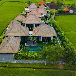 Three Gold Luxury Private *