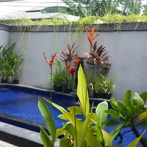 Star Bali Canggu (Bali)