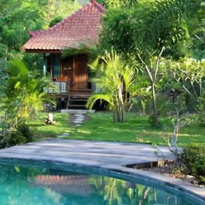 Dune Alaya Eco * Pemuteran (Bali)