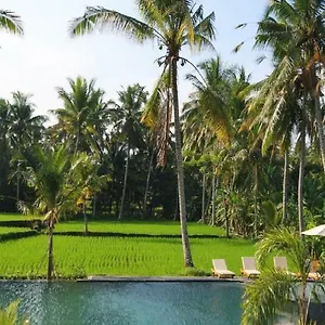 Bhanuswari Resort 4*