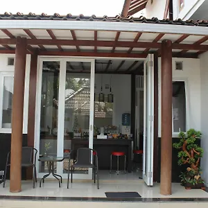 Vira House
