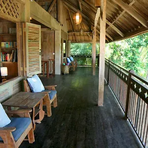 Artist Eco In Bali