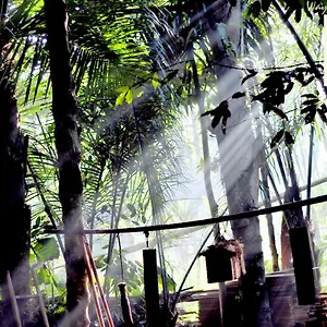 Tegal Dukuh Camp 2* Tegallalang (Bali)
