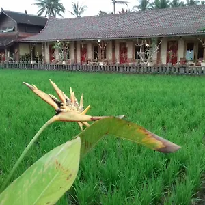 Guest house Rice Padi Artha