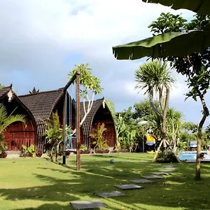 Homestay De Vir House *