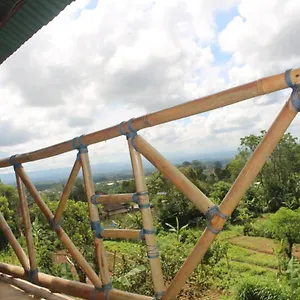 Homestay Bali Tree House Pelangi