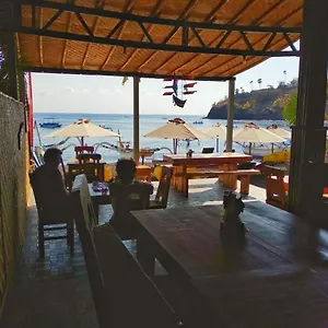 Coconut & Warung Guest house Amed (Bali)