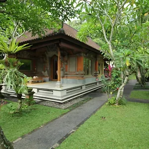 Umah Alas *