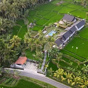 Coconut * Ubud
