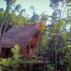 Hidden Bamboo House Bed & Breakfast