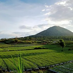 Luxury tent Batur Garden Frivate