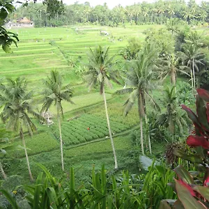 Permata Ayung - Adult Only Hotel 4*