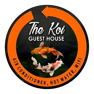 The Koi *