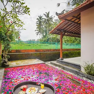 Homestay Ubud Sawah Scenery And