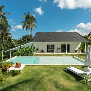 Bos Bali *