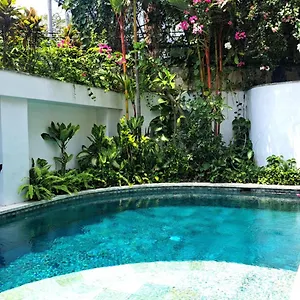 Chill Bali