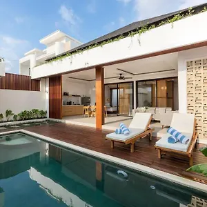 New Tropical In *