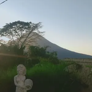 The Bunut