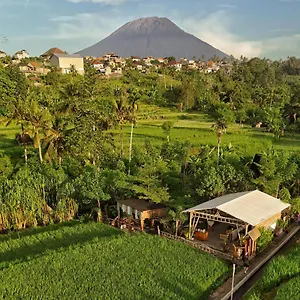 Luxury tent Camani Glamping