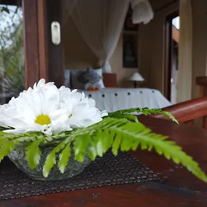 Umah Ubud (Bali)