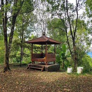 Lodge D'langun Bali