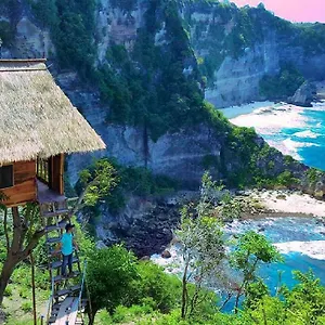 Rumah Pohon Tree House * Nusa Penida