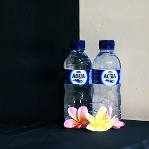 Ulu Bali *