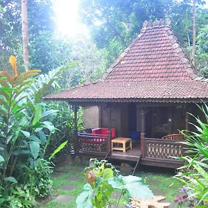 Lemon Grass Villa *
