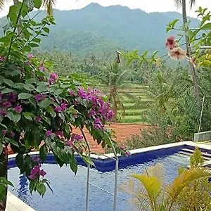 Pensionat Lotus Sudaji 3*