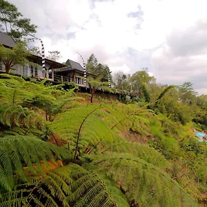 The Bejalin Eco Retreat *